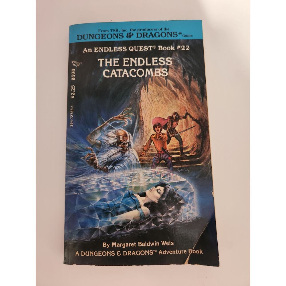 Dungeons & Dragons An Endless Quest Book Endless Catacombs #22 NOS Defect